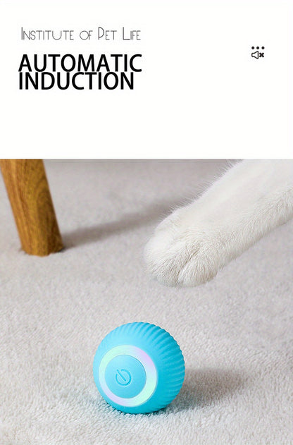 MIAOQUANJI USB-Rechargeable Automatic Cat Ball – Motion-Activated Rolling Toy with Glow-in-the-Dark Light, Durable Silicone Design (Blue)