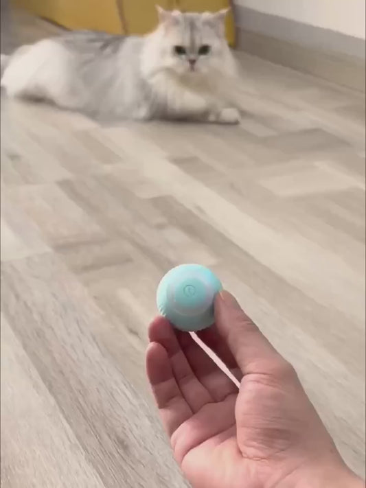 MIAOQUANJI USB-Rechargeable Automatic Cat Ball – Motion-Activated Rolling Toy with Glow-in-the-Dark Light, Durable Silicone Design (Blue)